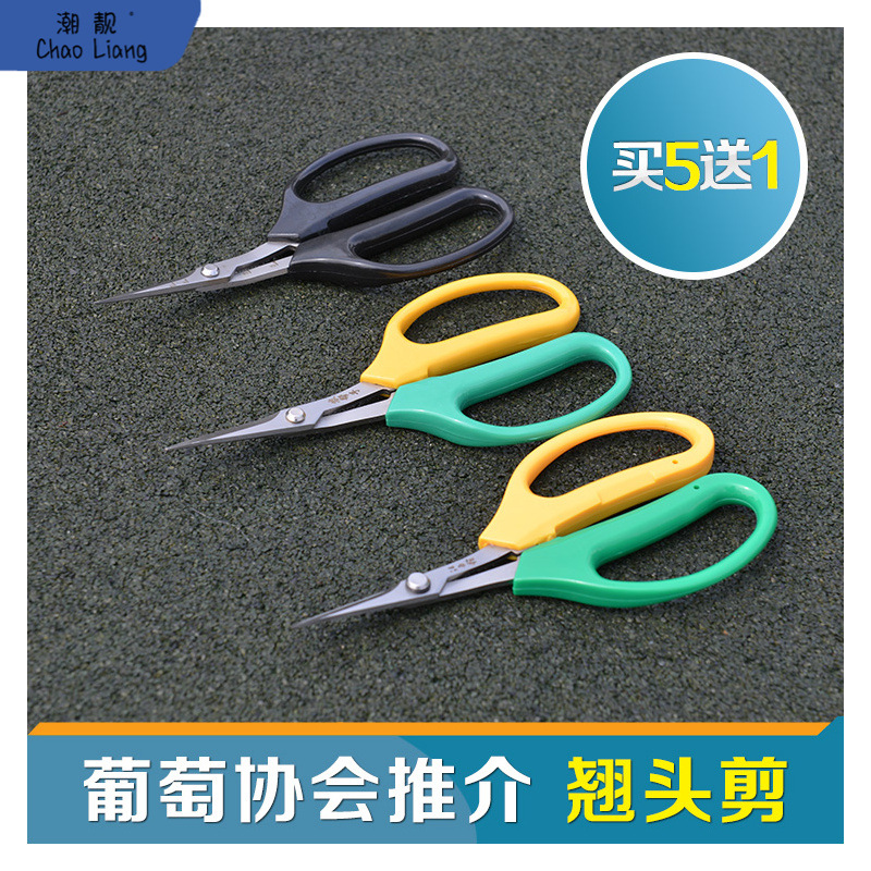 #包邮翘头剪园艺剪刀葡萄剪修枝剪摘果剪名钻汪吾铨采摘剪蔬包邮