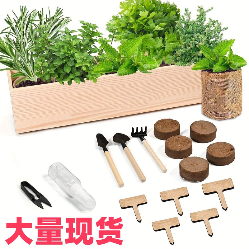 Cross-Border Amazon Indoor Planting Kit Creative Wooden Flower Pots for Children and Adults Planting Flowers and Herbs Set Cross-Border Amazon Indoor Planting Kit Creative Wooden Flower Pots for Children and Adults Planting Flowers and Herbs Set