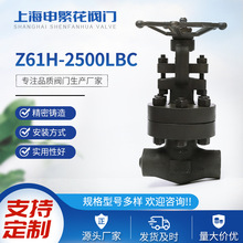 Z61H-2500LBC ߉ߜվlyA105yT