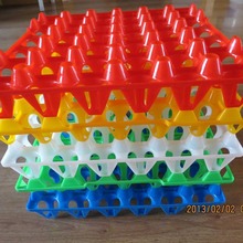 �������ڐa�Ų�ɫ�u����/����/�����u����/�u����/ �u���бP