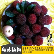 ڼ޽Ӗ|÷÷ϱNֲԹ箔Yش