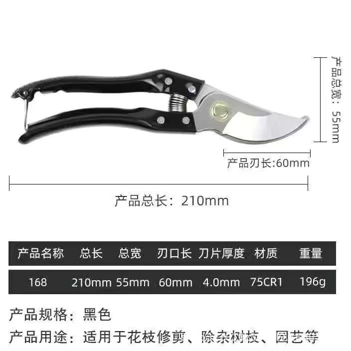 微信图片_202509181038372.jpg