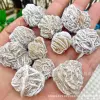 Desert rose 1-2 cm