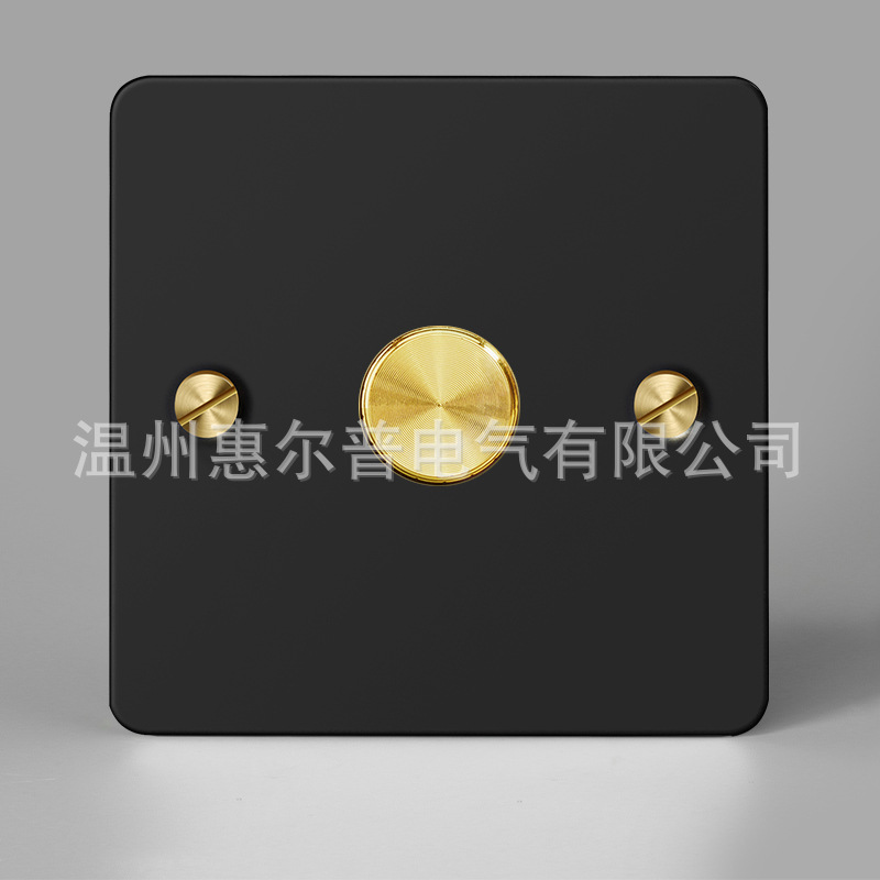Mounted black retro switch key, light panel stainless steel