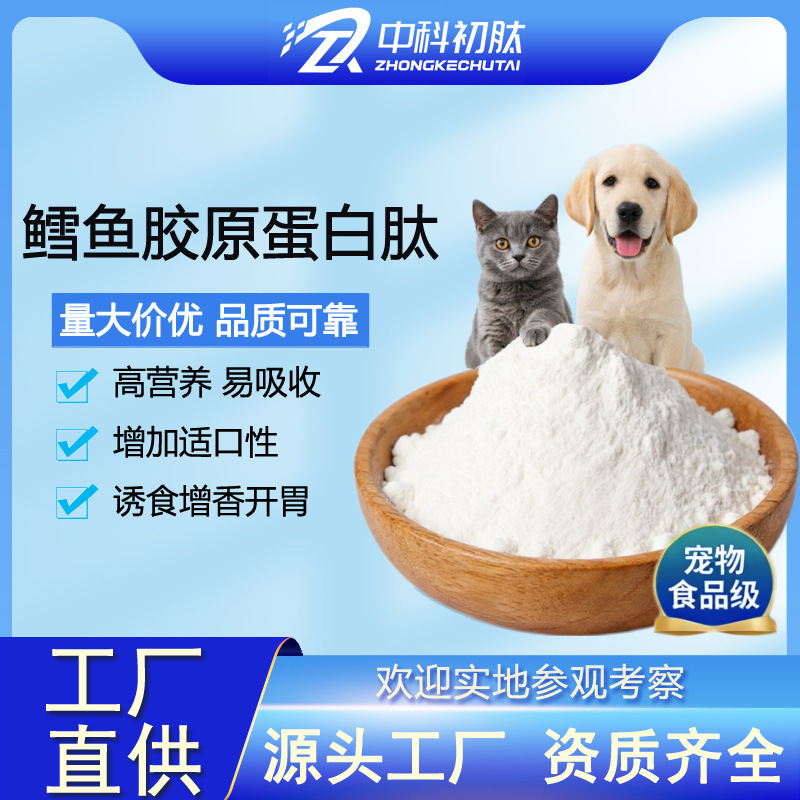 Cod Collagen Peptide Powder, Raw Material for Joint Nutrition Supplement for Pets, Dogs, and Cats, Flavor Enhancer for Food, Source Factory Cod Collagen Peptide Powder, Raw Material for Joint Nutrition Supplement for Pets, Dogs, and Cats, Flavor Enhancer for Food, Source Factory