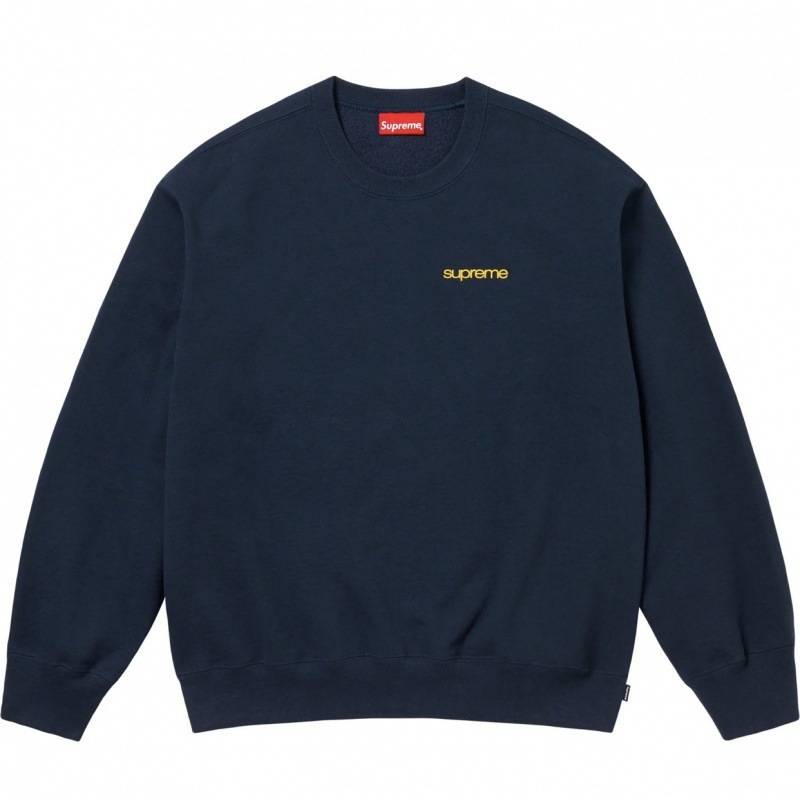 欧美潮品 Satin Appliqué Hooded Sweatshirt 连帽长袖加绒卫衣|undefined