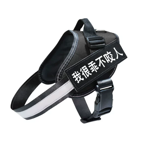 Individual harness - black