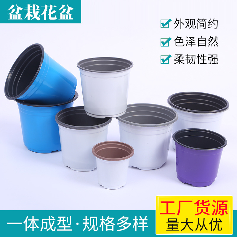 two-color plastic simple purple blue flowerpot