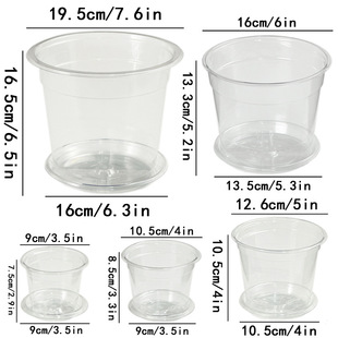 3.5/4/5/6/7.5in inch PET thick seedling cup flowerpot nutrition cup Amazon cross-border TEMU for generation