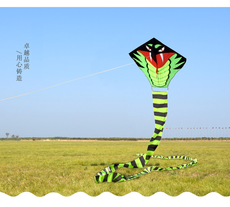 O1CN01IcanCe1IZRinonqiA_!!2970