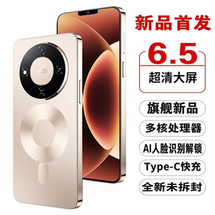 2026�¿�80�������6.5Ӣ���֙C�p���p��ȫ�Wͨ256G�ȴ��֙C�W��
