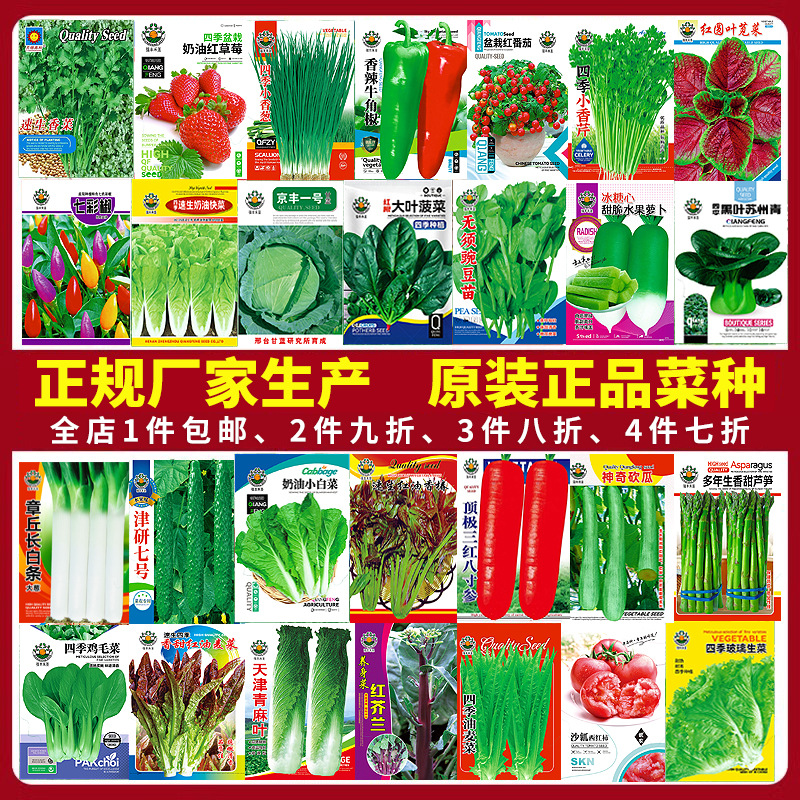 蔬菜种子香菜番茄辣椒菠菜黄瓜豆角生菜籽萝卜白菜四季播种孑大全