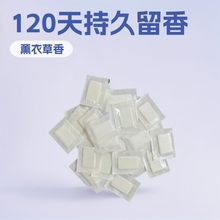 ��Ѭ��Ƭ���l�����������Ƭ�e�^�Ƶ귿�g��Ѭ�����l���g�o����޹