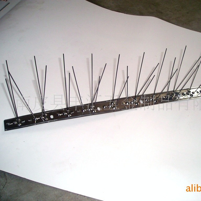 供应不锈钢鸟刺(图) 塑料驱鸟刺 可来图来样窗台 屋檐用