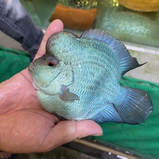 �����W�^�~Ԫ���_�h�~�Lˮ�~�lؔؔ�~�Ꭷ�^�p�~���w