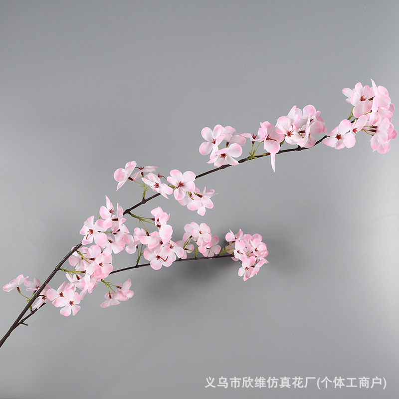 梨花粉色