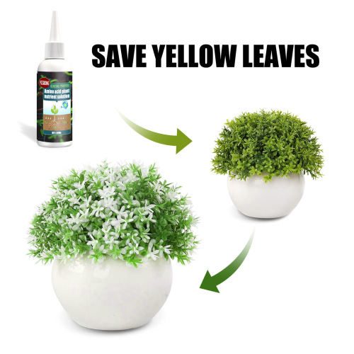 YEGBONG Amino Acid Plant Nutrient Solution Organic Foliar Fertilizer Trace Elements Root Promoting Green Leaves