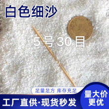 厂家批发雪花白细沙高尔夫球场草坪填充人造沙滩造景白沙子石英砂