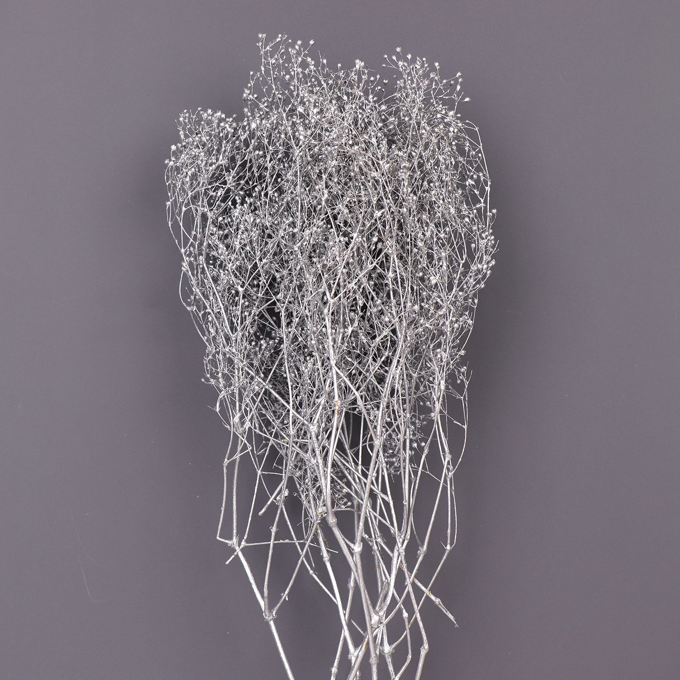 Fabricante pequeño cielo estrellado hierba millones de estrellas regalo del Día de San Valentín cielo estrellado ramo accesorios flor eterna