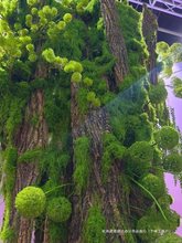 ����̦��ƺ��Ƥdiy΢����̦޺����ֲ�쾰��������ٲ�����޺