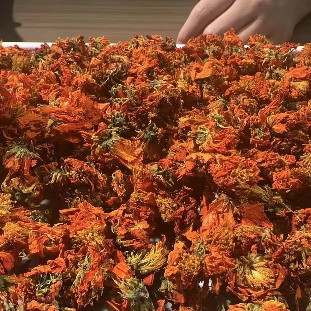 微信图片_20240805223936 - 副本