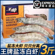 盐冻虾大连海虾大虾鲜活速冻水产海鲜白虾大海虾单百奇