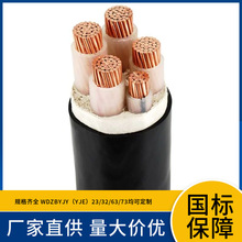 ���˾�WDZBN-YJY�~о�o�u�͟�B����ȼ�ͻ�����ϩ�^�������|