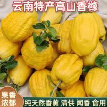 ������r�㙴�����ָ̹��^�p�幩��ʳ���҃�܇�d��޹�羳���l؛Դ