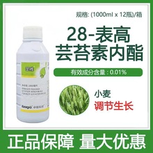 �}��28%����̦ܿ�؃��� ���罡�� ����������� ֲ�����L�{����