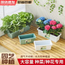 �̨�N�ˌ����L�����������߲˷Nֲ��Ӻ����ô����L�l