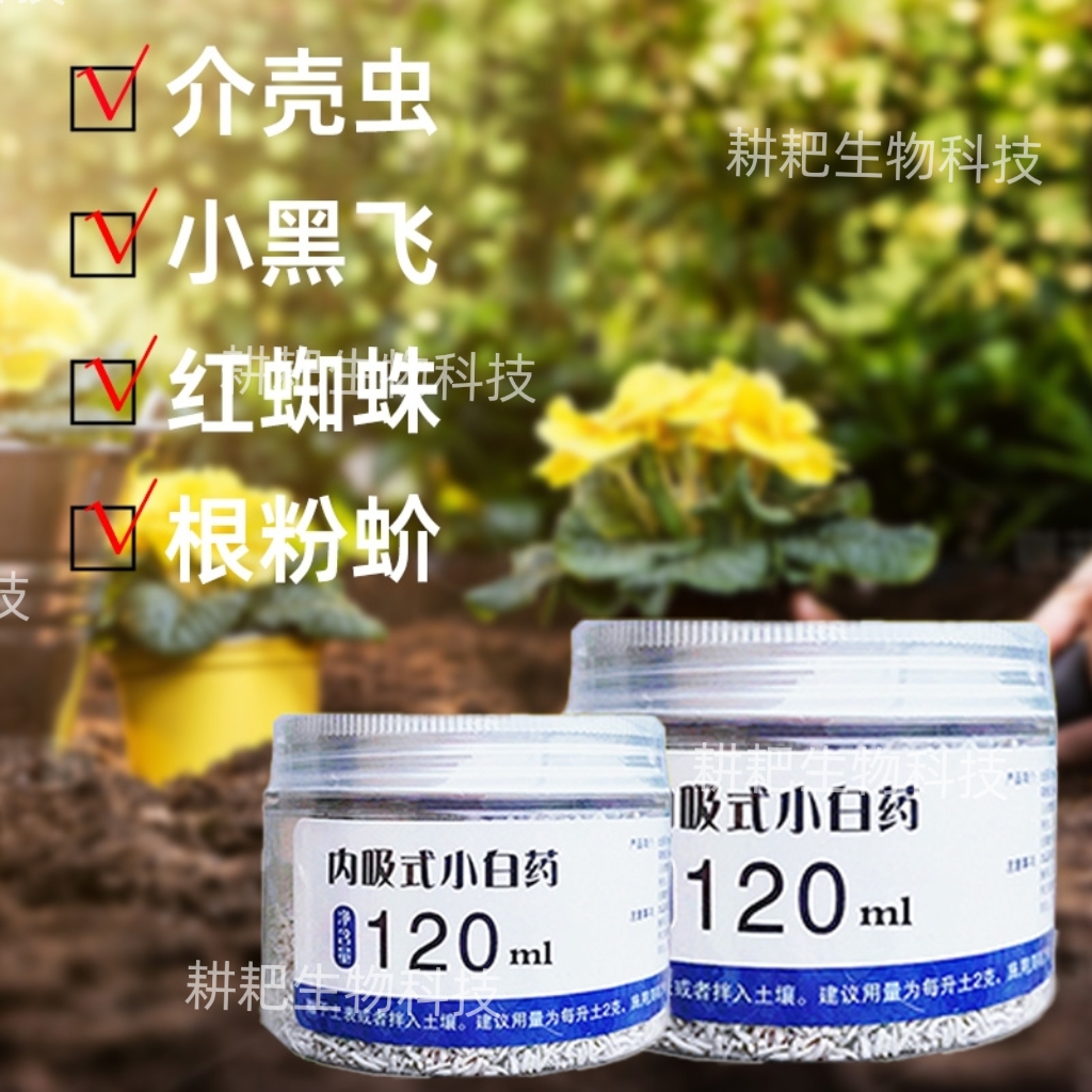 Internal Absorption Type Small White Powder Insecticide and Pest Control Granules for Succulents, Orchids, and Flower Pests Like Scale Insects