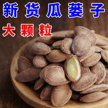 瓜蒌籽新大颗粒天柱山特产非吊瓜子原味坚果炒零食瓜蒌子