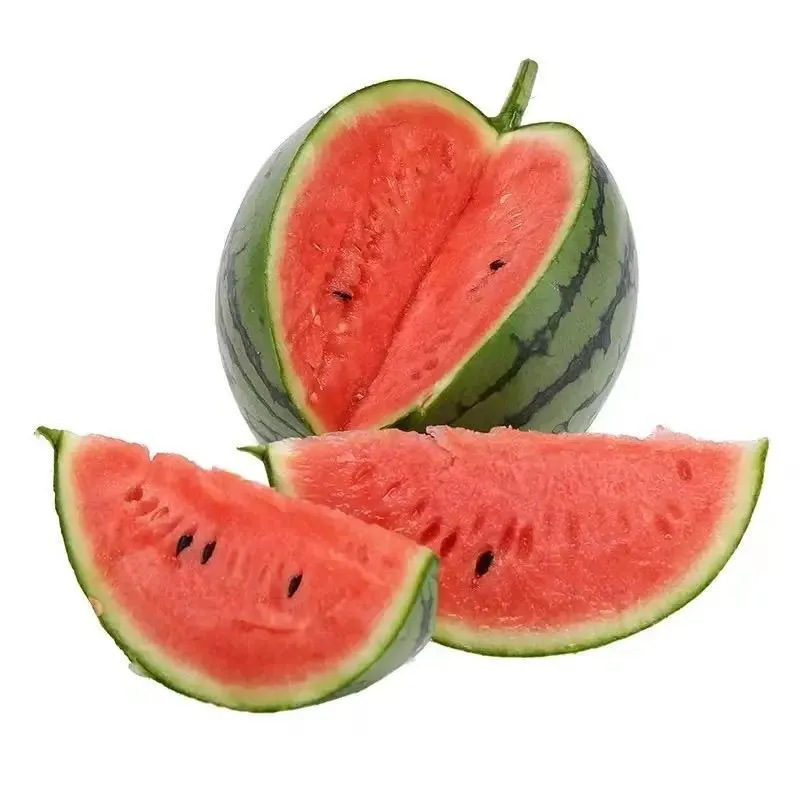 Fresh Watermelon from Anhui, Direct Delivery from the Place of Origin, Whole Fruit, Free Shipping, Seasonal Small Watermelon, Dropshipping Available Fresh Watermelon from Anhui, Direct Delivery from the Place of Origin, Whole Fruit, Free Shipping, Seasonal Small Watermelon, Dropshipping Available