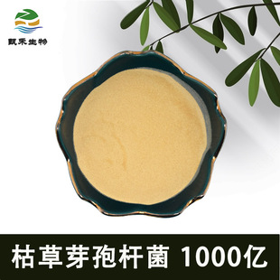 �ݲ�ѿ�ߗU�� 1000�| ��� �������� ţ���i����ֹ�a ������ӄ�