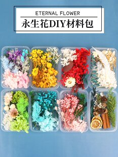 ��Ȼ�ɻ��������ٻ����滨��ͯ�ֹ�diy�F�Ȳ��ϰ��b����﹝�Y��