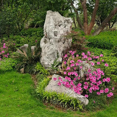 卸売りの大きさの景観の河渓石の芝生は石の川辺の風景のガチョウの軟石の緑地を作って石を並べます。