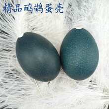 ����������������������յ��������������������r�B����