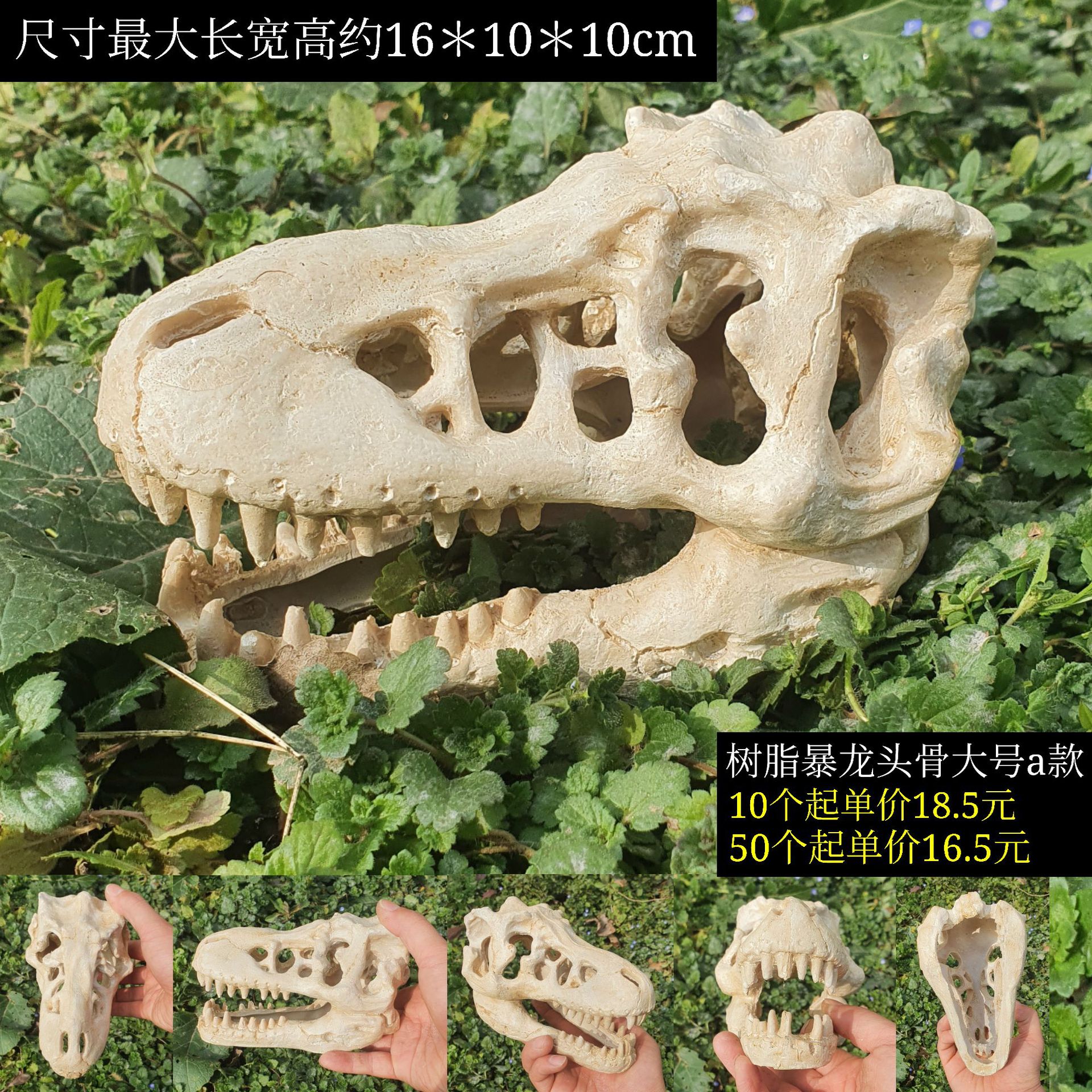 微信图片_20211217163905