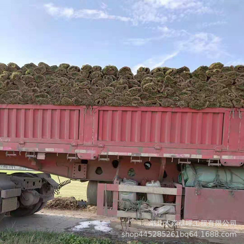 62a7f16f3afd6a9c9c1b53b78c674b