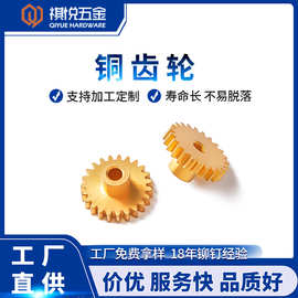 厂家定制小模数精密黄铜齿轮 锡青铜小齿轮机非标铜齿轮东莞五金