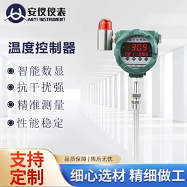 其他压力仪表;流量计;显示仪表