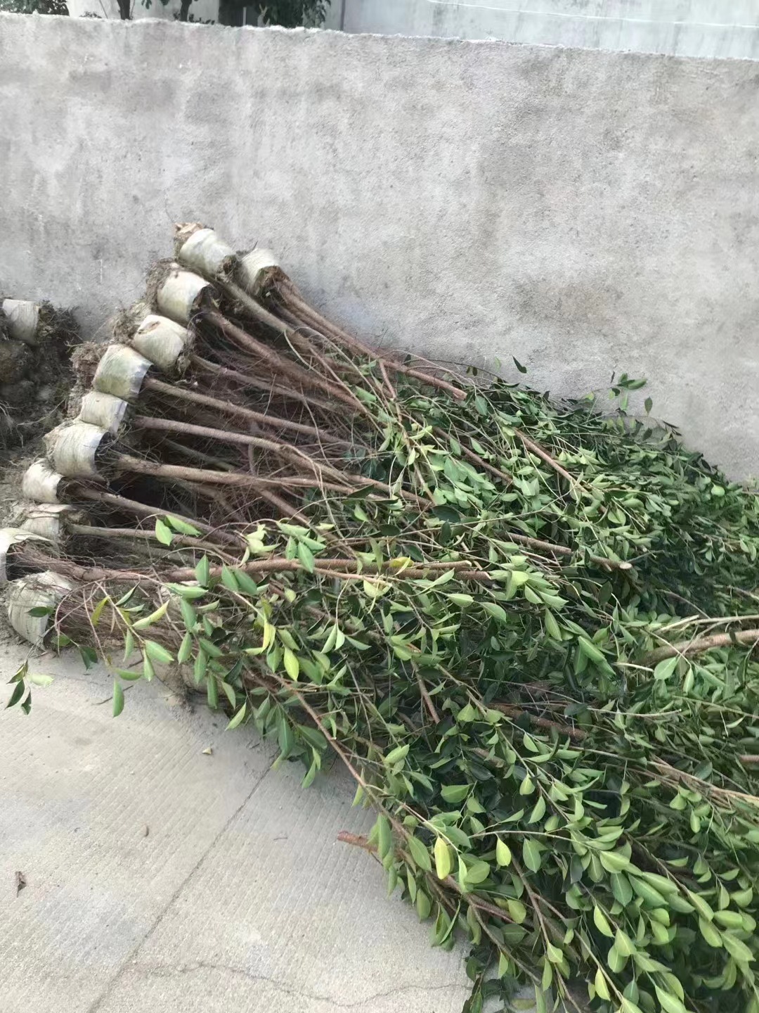 微信图片_202302232037051