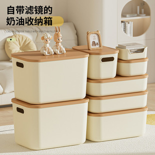 Toy Storage Box with Lid Thickened Snack Cosmetic Storage Box Household Large Clothes Pants Clothes Storage Box