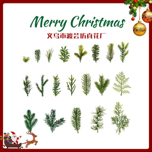 ˮݿ羳؛Դ}Q}QGֲ廨bˮ