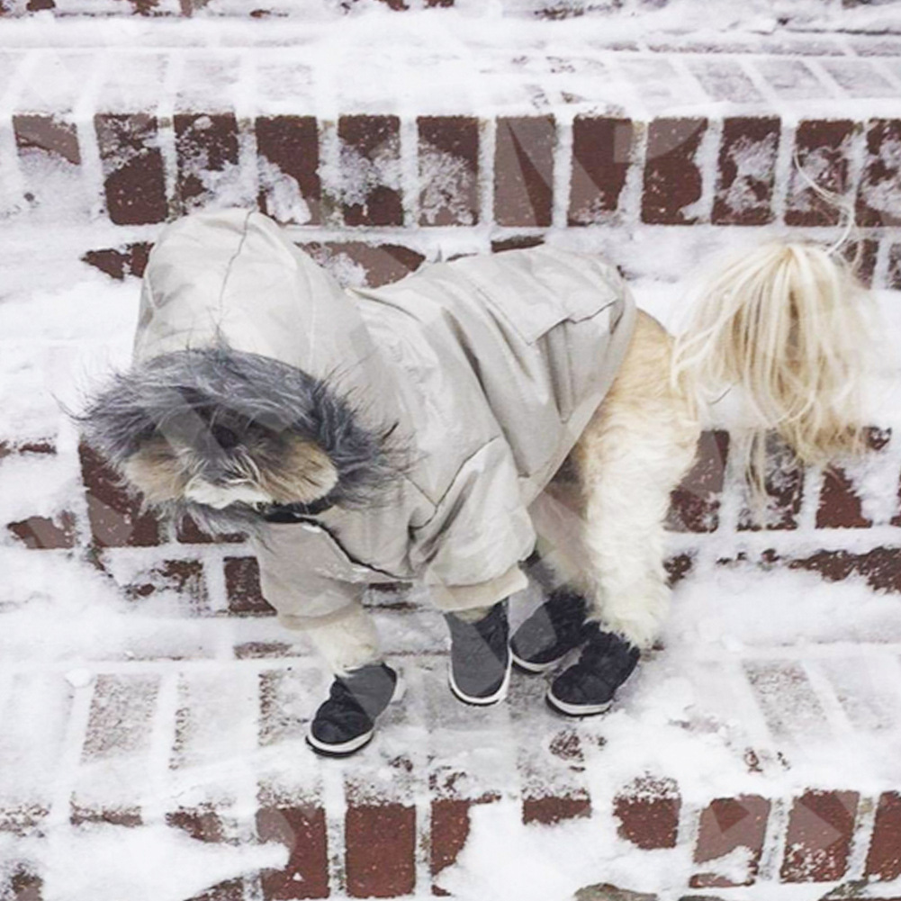 Ropa para mascotas ropa de invierno al por mayor ropa para perros otoño e invierno nuevo abajo chaqueta cachorro a prueba viento con capucha aislamiento frío