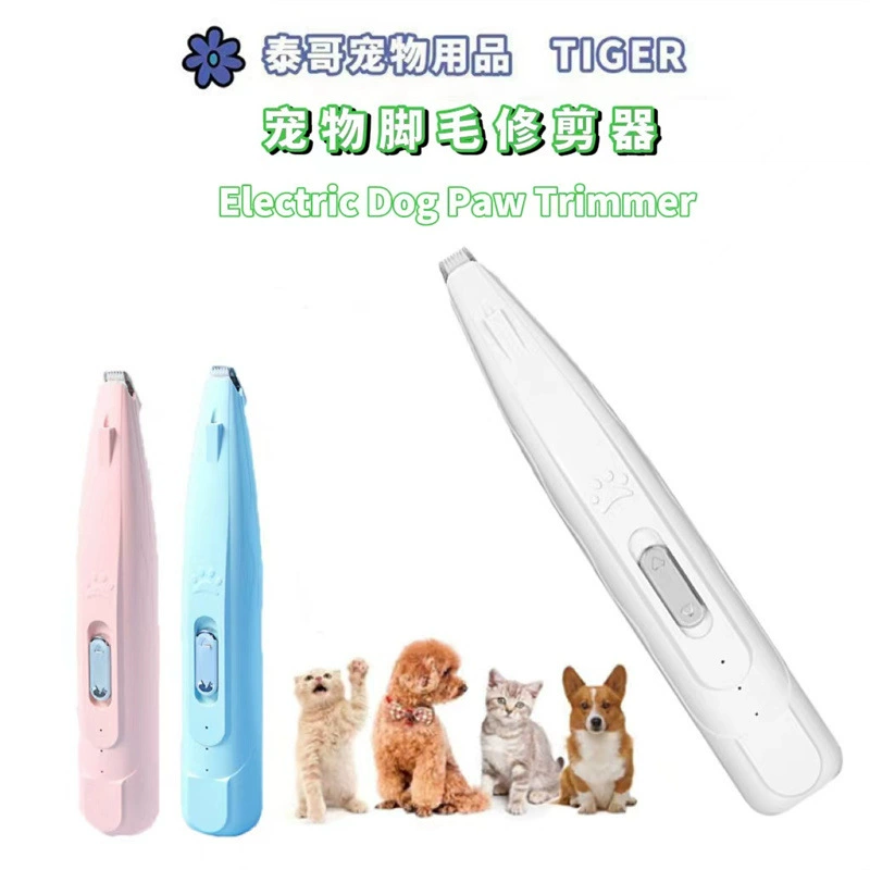 Трансграничный электрический кошачий кошачий кошачий кошачий кошачий кошачий кошачий кошачий кошачий кошачий кошачий