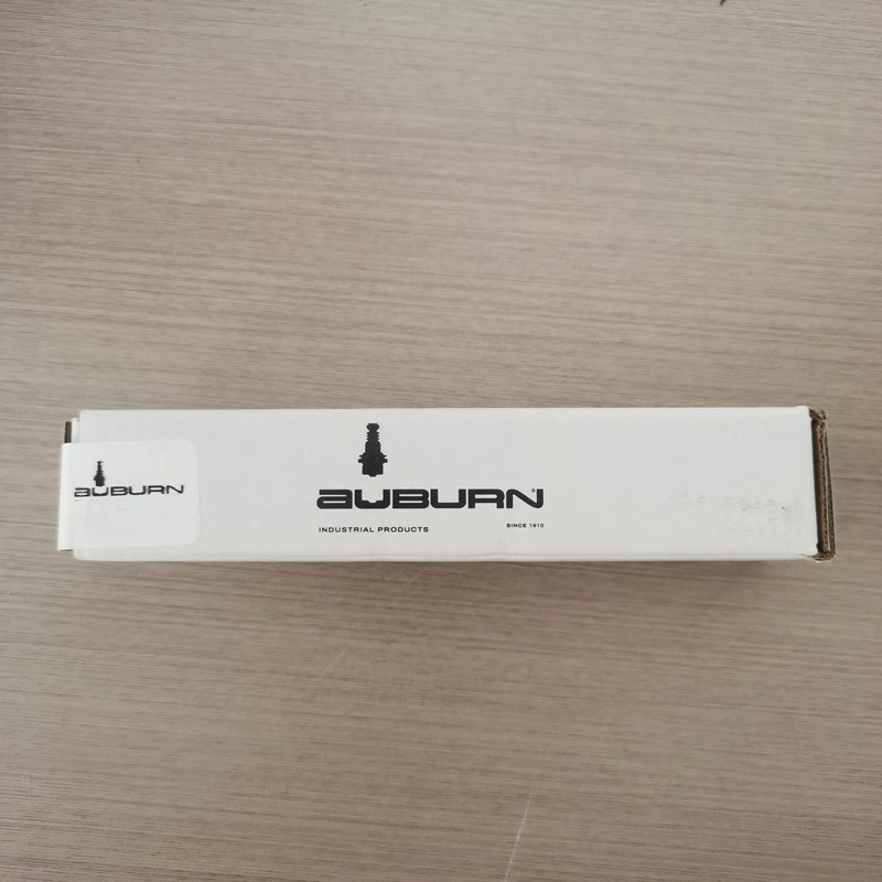 Honeywell AUBURN Оберн I-31-6 воспламенитель (Maxon 47789) Новый спот