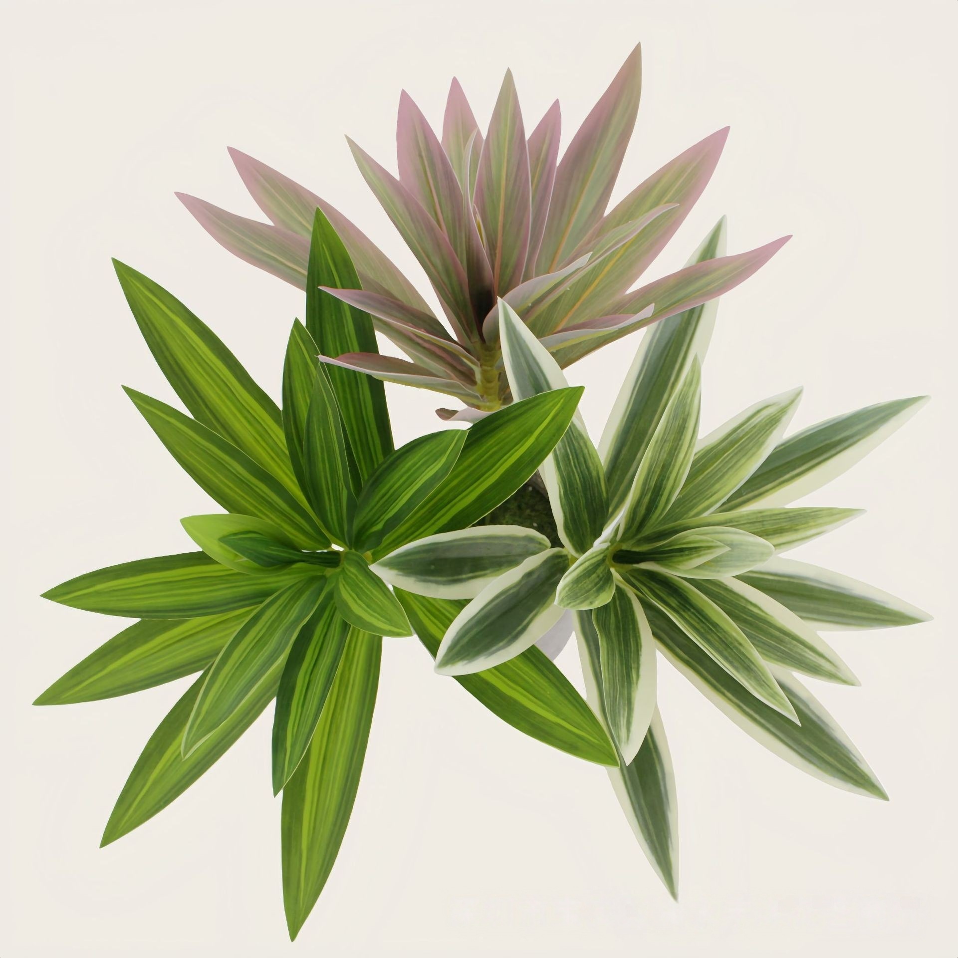 Simulation Lily DIY single -headed rich bamboo fake leaves potted…