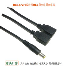 DC5.5*2.1�D�pUSBĸ��늾� ��y���a�aƷUSBĸ�^һ�ֶ��D���Դ��