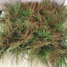 ����С�� �Ѳ� �݅��羳�����ֲ�������ľ�Gֲ�݈F �ݶ�